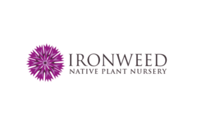 Ironweed Nursery logo