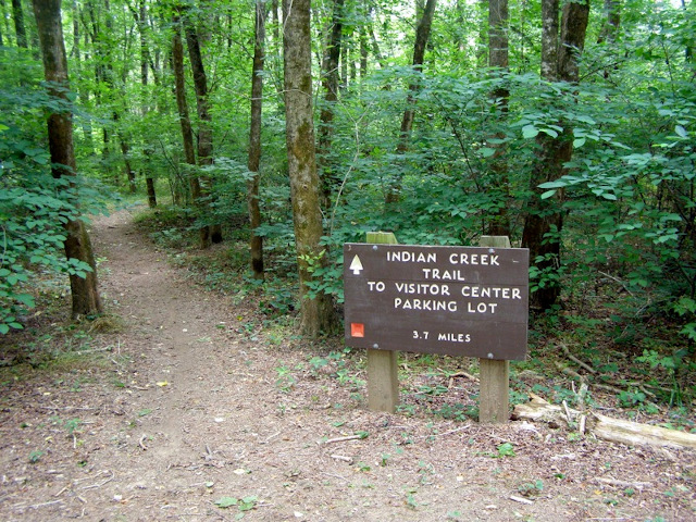 Wildflowers of Indian Creek in the Red River Gorge - Length 17:07