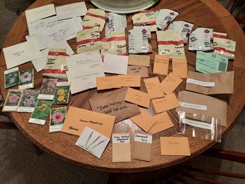 Follow a growing trend and organize your own seed swap