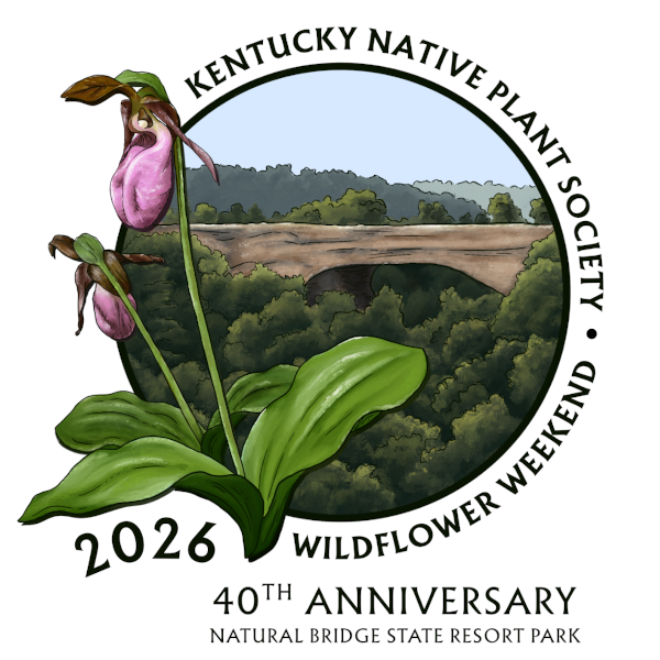 Wildflower Weekend 2026 in Review