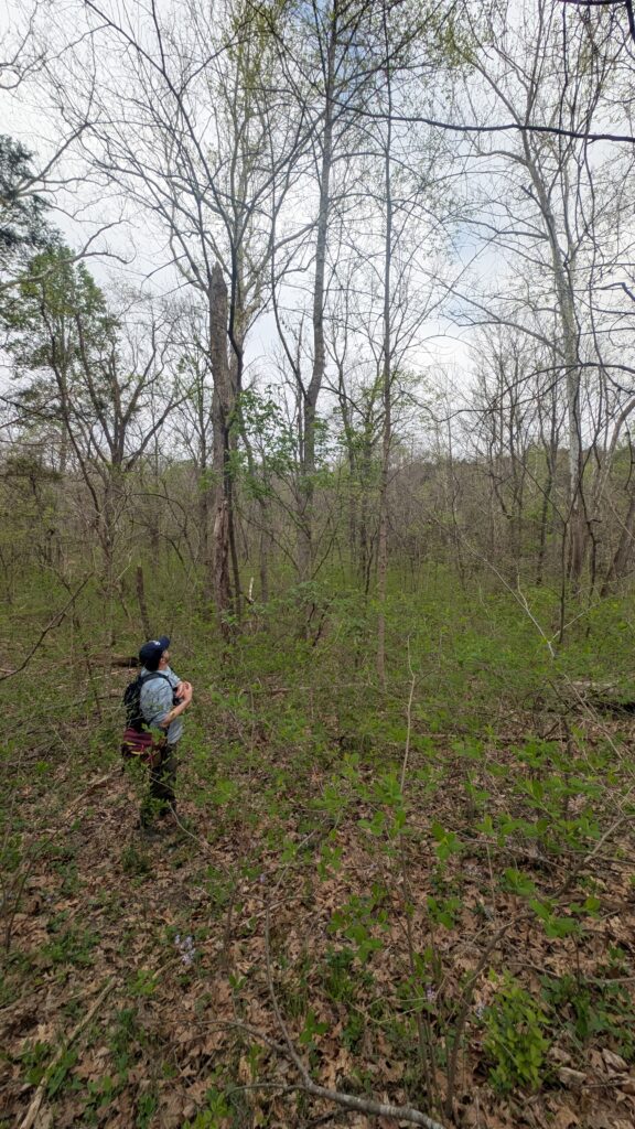 Plant enthusiasts gather for the 2026 Botany Blitz Kick-Off Hikes